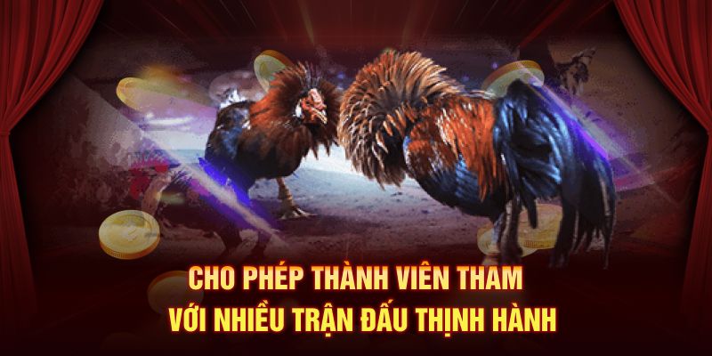 Cho phép thành viên tham gia với nhiều trận đấu thịnh hành