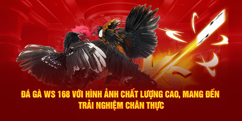 Đá Gà WS 168 với hình ảnh chất lượng cao, mang đến trải nghiệm chân thực.