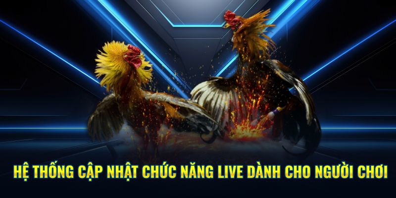 Hệ thống cập nhật chức năng live dành cho người chơi