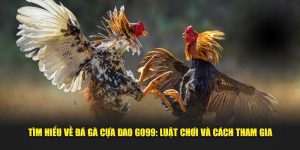 Tìm Hiểu Về Đá Gà Cựa Dao Go99: Luật Chơi Và Cách Tham Gia