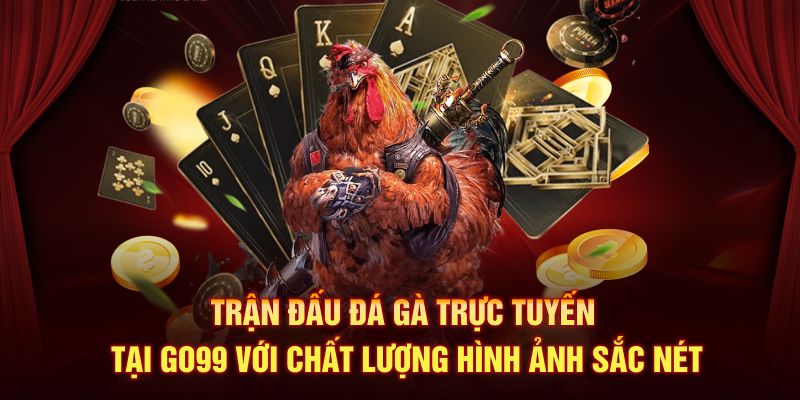 Trận đấu Đá Gà trực tuyến tại Go99 với chất lượng hình ảnh sắc nét